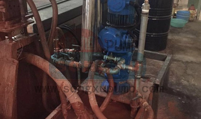 鏡業涂布機進料泵